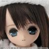  Azone Pureneemo EX Cute Family Sera Happy Holidays 