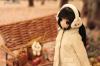  Azone Pureneemo EX Cute Family Chisa`s Winter Vacation 