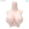  Volks Dollfie Dream DDIII-B-02 L Bust Normal 