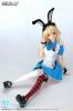  Volks Doll Party 29 Limited Dollfie Dream Dressy Alice Set DDS DD SML Bust 