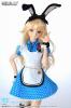  Volks Doll Party 29 Limited Dollfie Dream Dressy Alice Set DDS DD SML Bust 