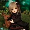  Japan Volks Doll Party 29 Limited Super Dollfie YoSD Anne 1/6 BJD Yo-sd Bjd 