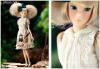  Sekiguchi Petworks PW-momoko ae KOGUMAZA The princess of Queen Cat and Deer 