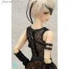  Volks HTDP Kyoto 13 Super Dollfie White Azure Dragon of the East Set SD17B SDGOU 