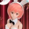  Volks Doll Party 35 Dollfie Dream Bunny Suit Set DDdy 