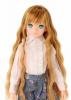  Sekiguchi Petworks CCSgirl 16AN ruruko Honey Azone Pureneemo XS Body 1/6 Doll 