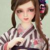  Volks Doll Party 36 Super Dollfie Nishiki-no-Hana Charcoal Gray SDGrB SD16 DDdy 