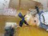  MAMACHAPP Moko-Chan Fushigi no Kuni no Moko (Moko in Wonderland) 1/6 Fashion Doll 