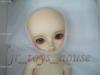  Volks Super Dollfie Dolpa 20 Yo-SD Yosd Shin 