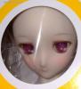  Volks Kyoto home Town Dolpa 9  DD DD3 Body ToHeart 2 Lucy Maria Misora Full Set 